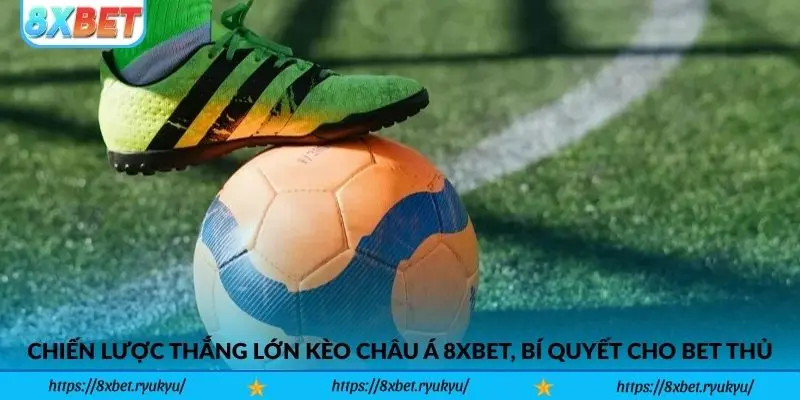 Chiến lược thắng lớn Kèo Châu Á 8xbet, bí quyết cho bet thủ