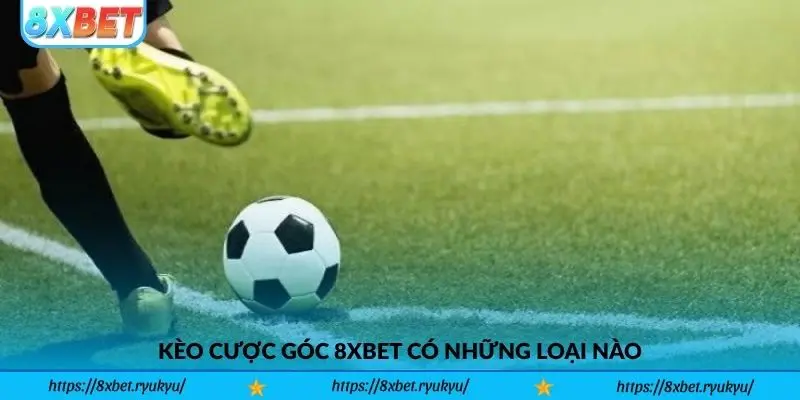 Kèo cược góc 8xbet có những loại nào