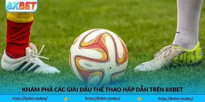 Khám Phá Các Giải Đấu Thể Thao Hấp Dẫn Trên 8xbet