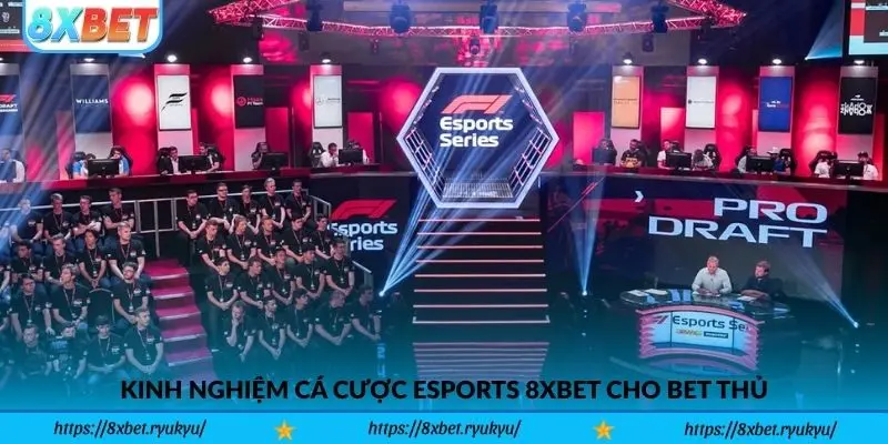 Kinh nghiệm cá cược Esports 8xbet cho bet thủ