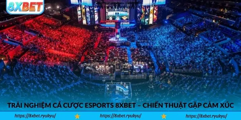 Trải nghiệm cá cược Esports 8xbet – Nơi chiến thuật gặp cảm xúc